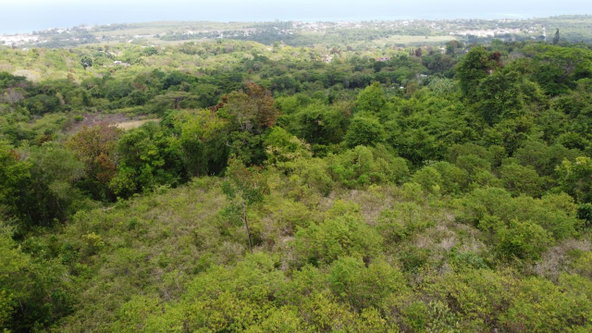 Sixth image of 115- Cardiff Hall in Runaway Bay, St. Ann, Jamaica - property is For Sale