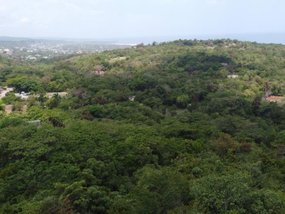 First image of 115- Cardiff Hall in Runaway Bay, St. Ann, Jamaica - property is For Sale