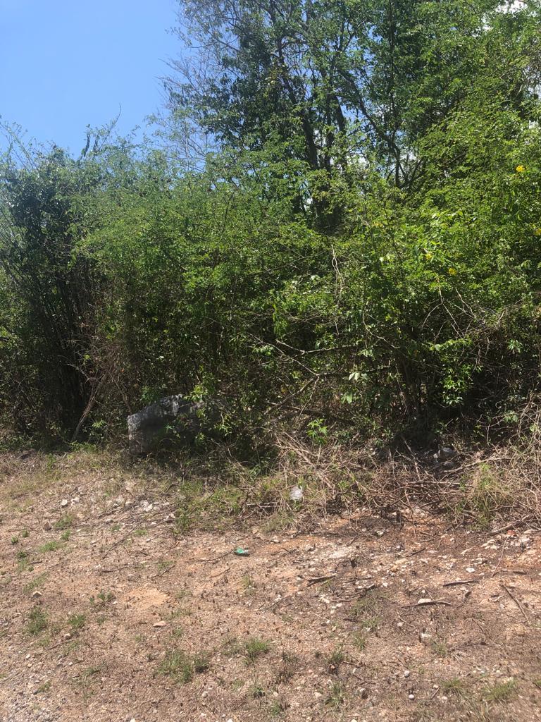 Ocean-View-Residential-Lot-for-Sale-in-Duncans-Bay-Trelawny Sixth image of Lot 277 Lookover Hill in Duncans, Trelawny, Jamaica - property is For Sale