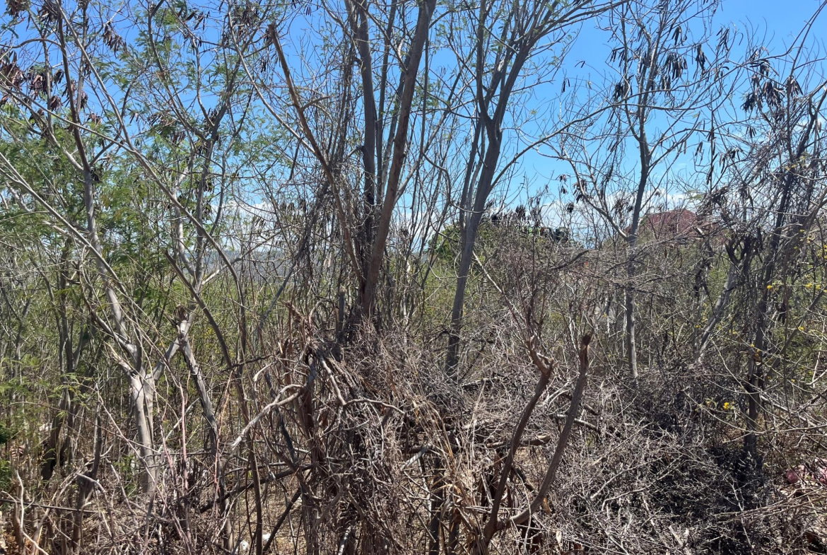 Second image of 131 Sun Drive in HELLSHIRE HILLS, St. Catherine, Jamaica - property is For Sale