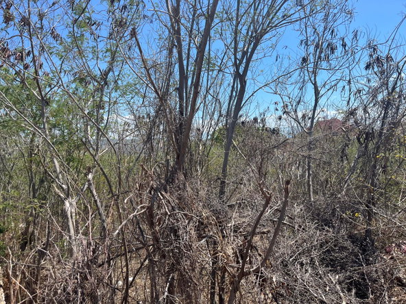Second image of 131 Sun Drive in HELLSHIRE HILLS, St. Catherine, Jamaica - property is For Sale