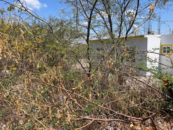 Third image of 131 Sun Drive in HELLSHIRE HILLS, St. Catherine, Jamaica - property is For Sale