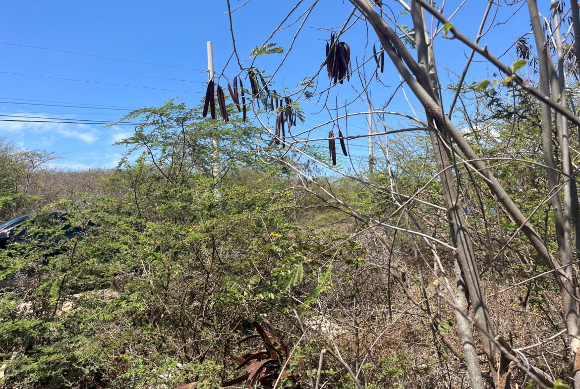 Fifth image of 131 Sun Drive in HELLSHIRE HILLS, St. Catherine, Jamaica - property is For Sale