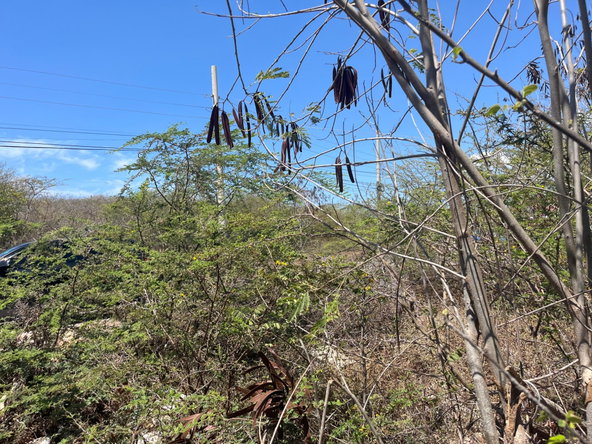 Fifth image of 131 Sun Drive in HELLSHIRE HILLS, St. Catherine, Jamaica - property is For Sale