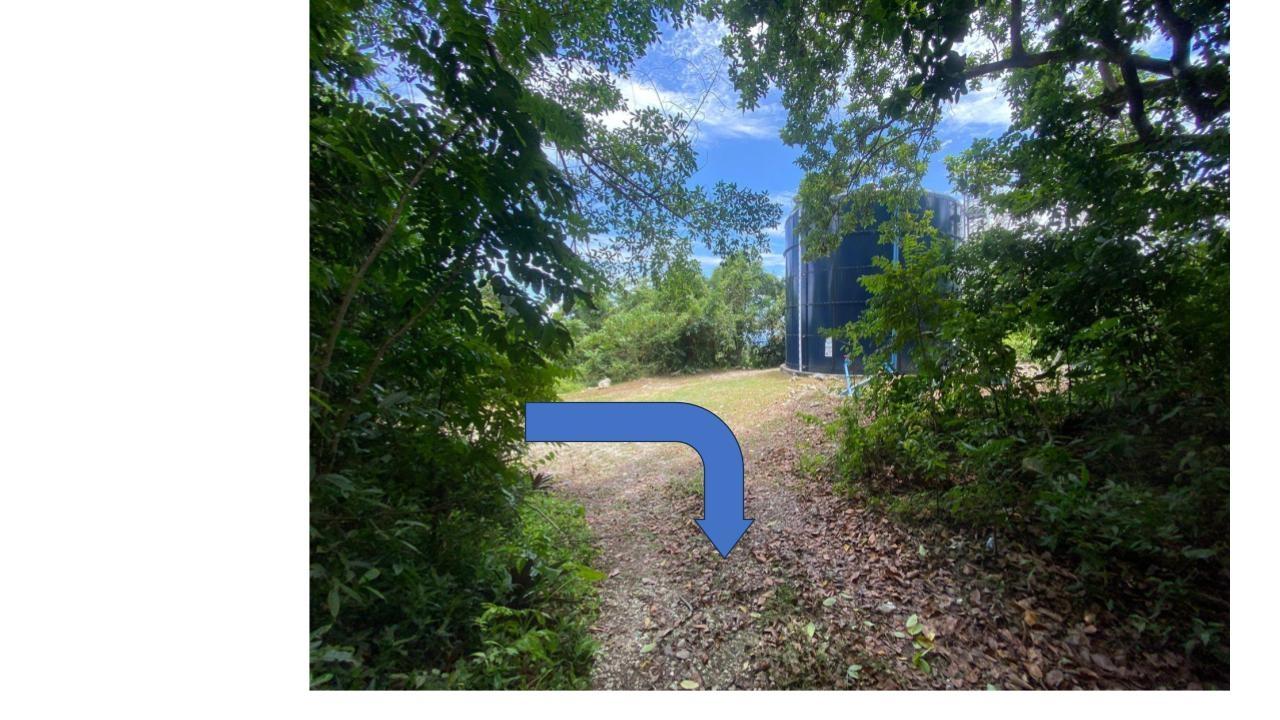 Third image of 82 Kildare in Kildare, Portland, Jamaica - property is For Sale