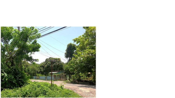Fourth image of 82 Kildare in Kildare, Portland, Jamaica - property is For Sale