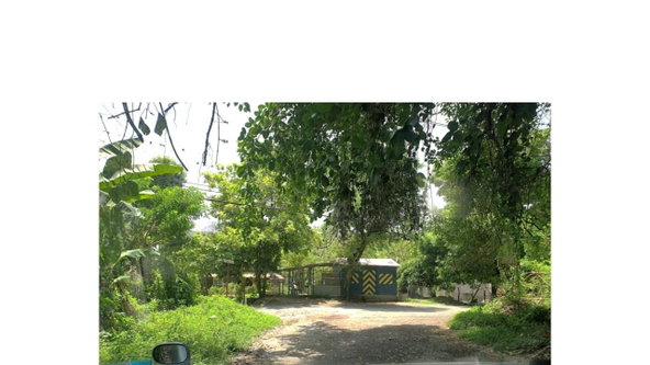 Sixth image of 82 Kildare in Kildare, Portland, Jamaica - property is For Sale