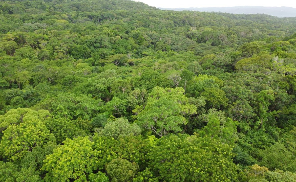 Eleventh image of Roystonea, Tower Isle in Tower Isle, St. Mary, Jamaica - property is For Sale