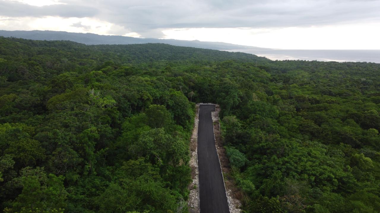 Twelfth image of Roystonea, Tower Isle in Tower Isle, St. Mary, Jamaica - property is For Sale