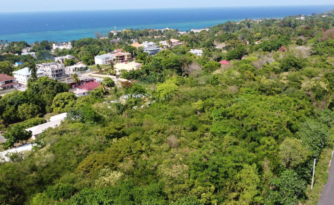 First image of Roystonea, Tower Isle in Tower Isle, St. Mary, Jamaica - property is For Sale