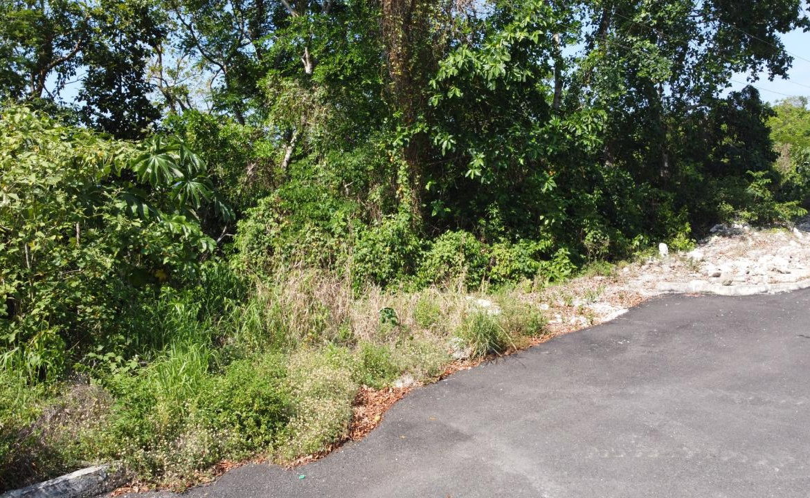 Fourteenth image of Roystonea, Tower Isle in Tower Isle, St. Mary, Jamaica - property is For Sale