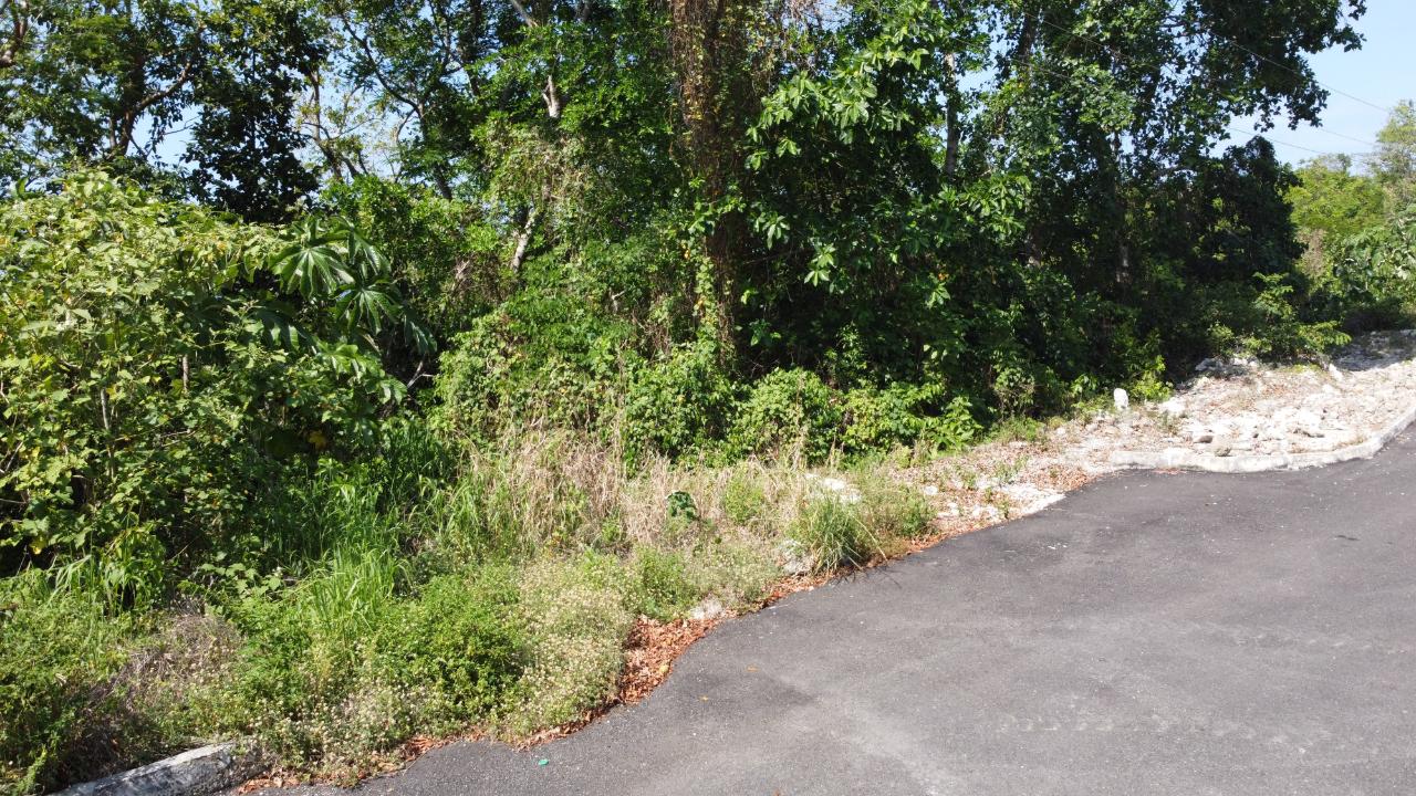 Fourteenth image of Roystonea, Tower Isle in Tower Isle, St. Mary, Jamaica - property is For Sale