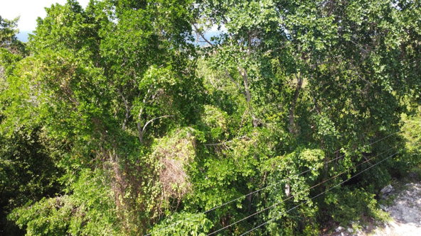 Fifteenth image of Roystonea, Tower Isle in Tower Isle, St. Mary, Jamaica - property is For Sale
