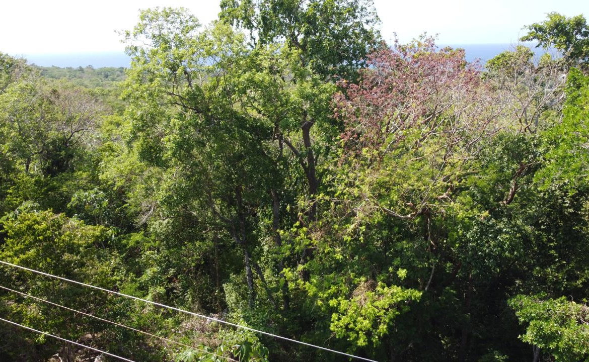 Sixteenth image of Roystonea, Tower Isle in Tower Isle, St. Mary, Jamaica - property is For Sale