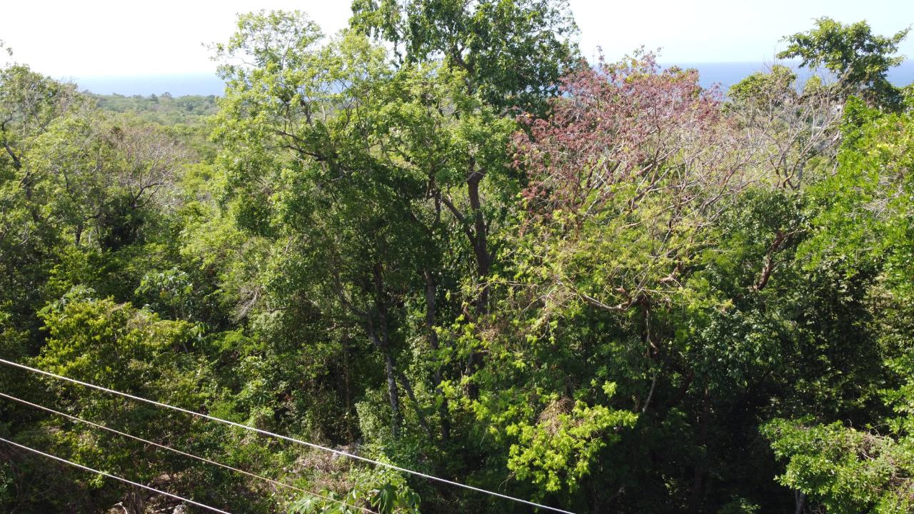 Sixteenth image of Roystonea, Tower Isle in Tower Isle, St. Mary, Jamaica - property is For Sale