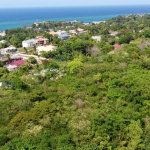 First image of Roystonea, Tower Isle in Tower Isle, St. Mary, Jamaica - property is For Sale