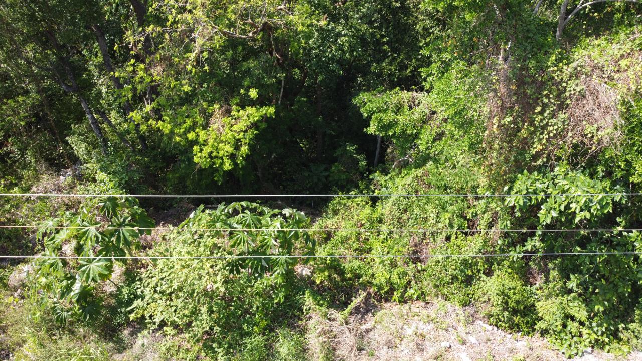 Seventeenth image of Roystonea, Tower Isle in Tower Isle, St. Mary, Jamaica - property is For Sale