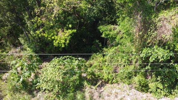Seventeenth image of Roystonea, Tower Isle in Tower Isle, St. Mary, Jamaica - property is For Sale