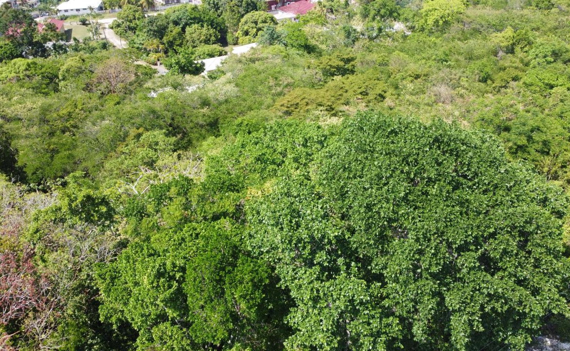 Twentieth image of Roystonea, Tower Isle in Tower Isle, St. Mary, Jamaica - property is For Sale