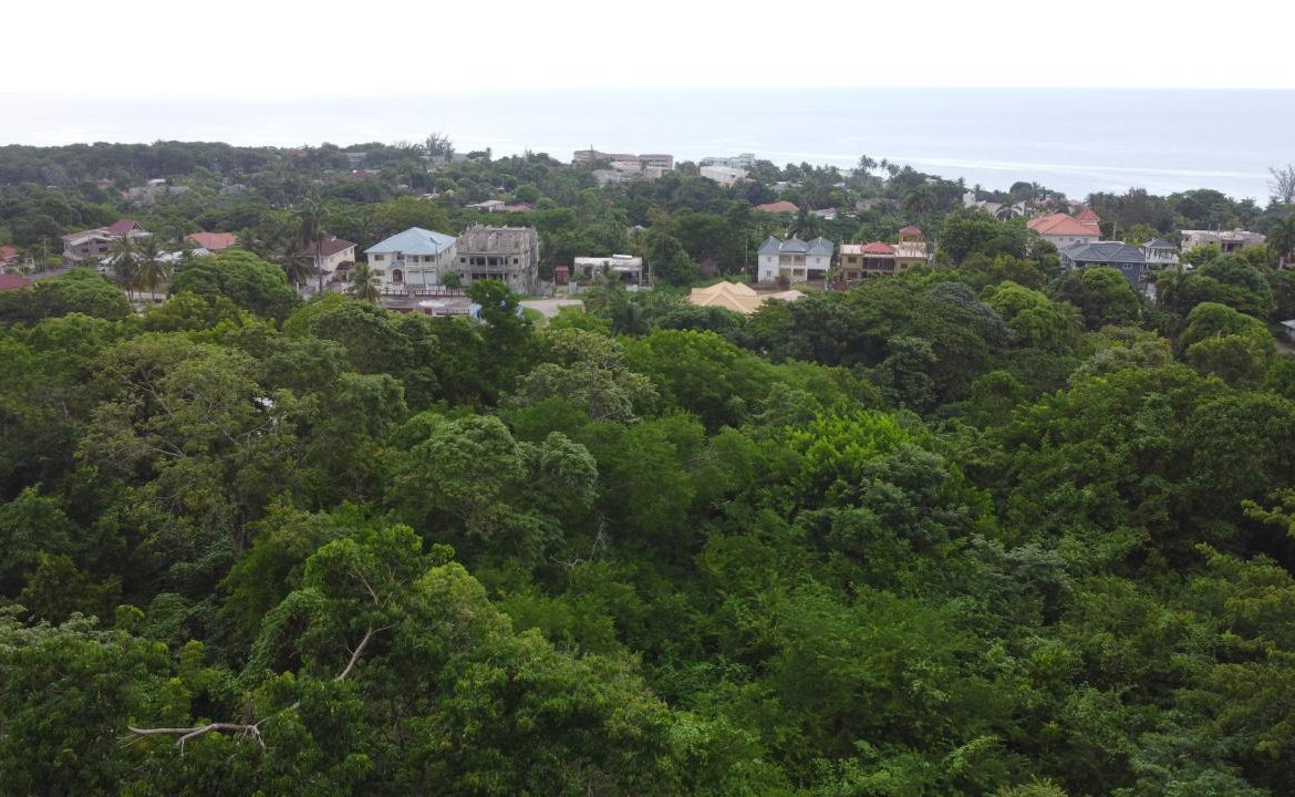 Third image of Roystonea, Tower Isle in Tower Isle, St. Mary, Jamaica - property is For Sale
