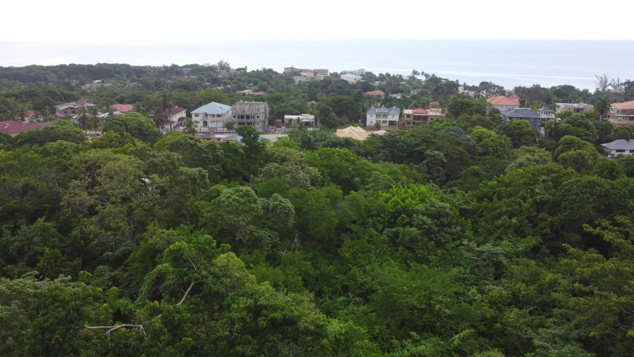 Third image of Roystonea, Tower Isle in Tower Isle, St. Mary, Jamaica - property is For Sale