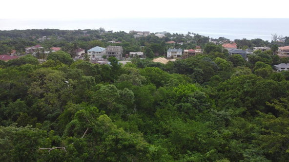 Third image of Roystonea, Tower Isle in Tower Isle, St. Mary, Jamaica - property is For Sale