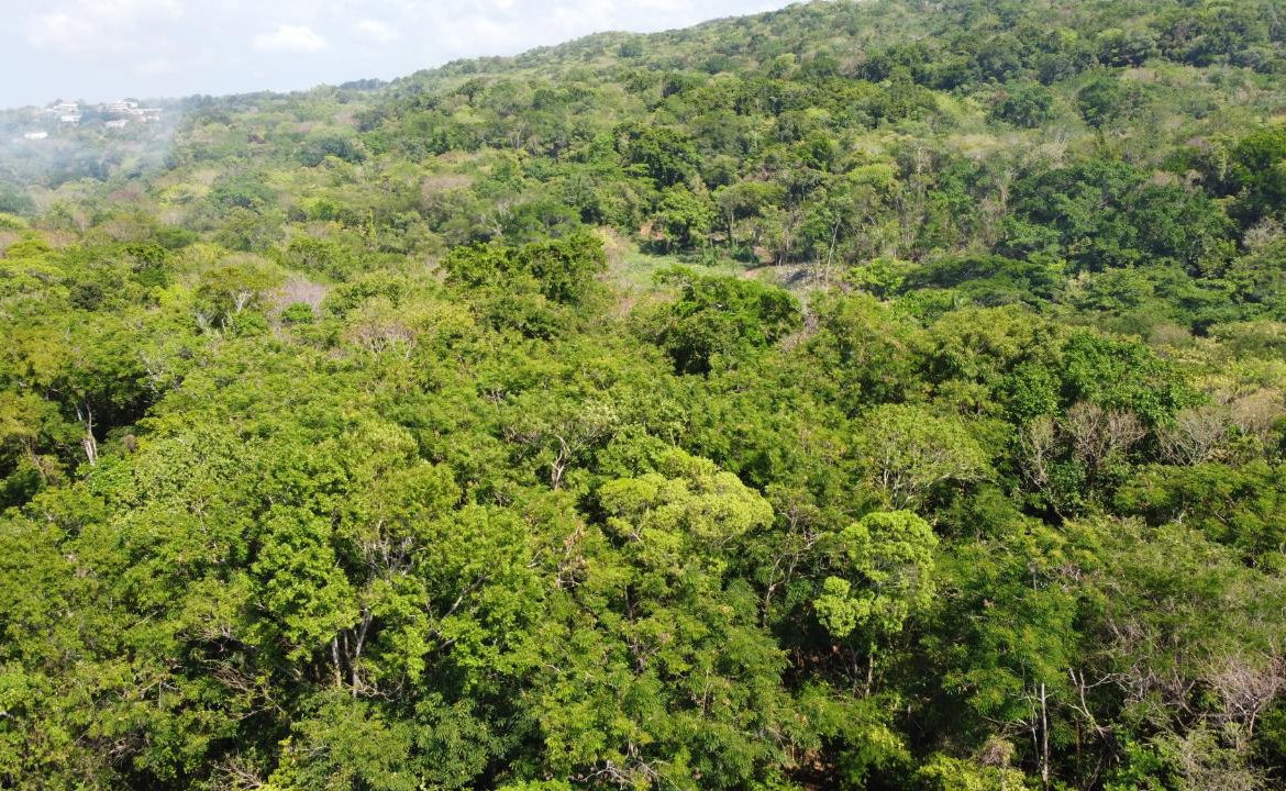Twenty-First image of Roystonea, Tower Isle in Tower Isle, St. Mary, Jamaica - property is For Sale