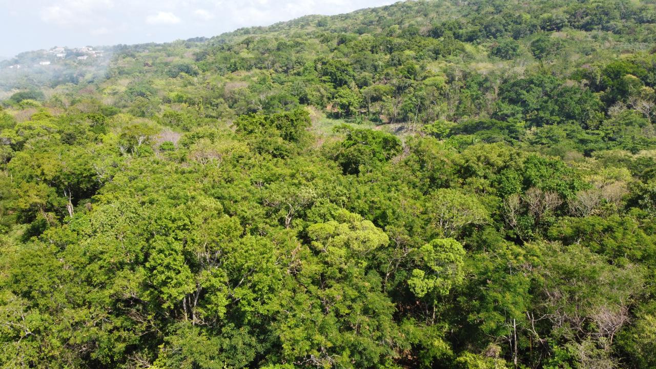 Twenty-First image of Roystonea, Tower Isle in Tower Isle, St. Mary, Jamaica - property is For Sale