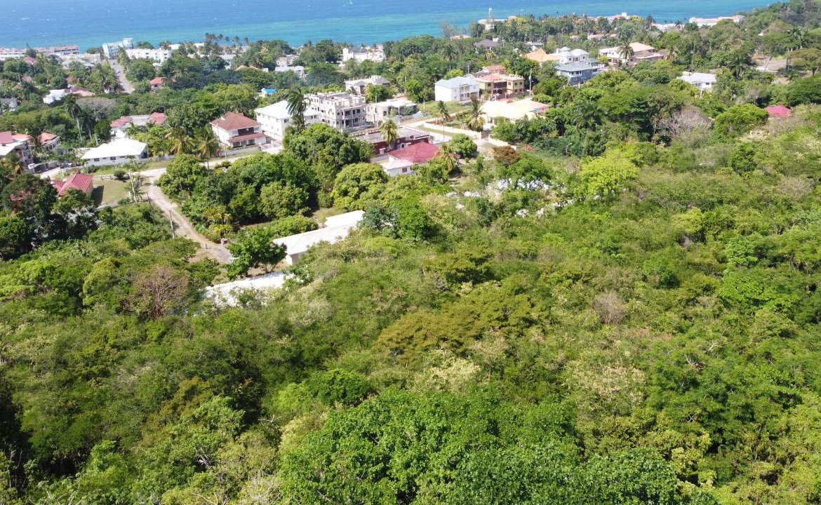 Twenty-Fifth image of Roystonea, Tower Isle in Tower Isle, St. Mary, Jamaica - property is For Sale