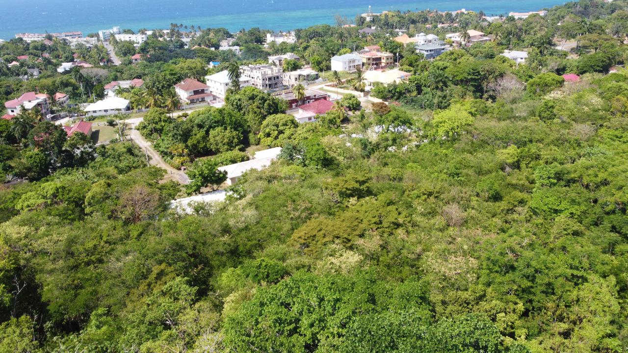 Twenty-Fifth image of Roystonea, Tower Isle in Tower Isle, St. Mary, Jamaica - property is For Sale
