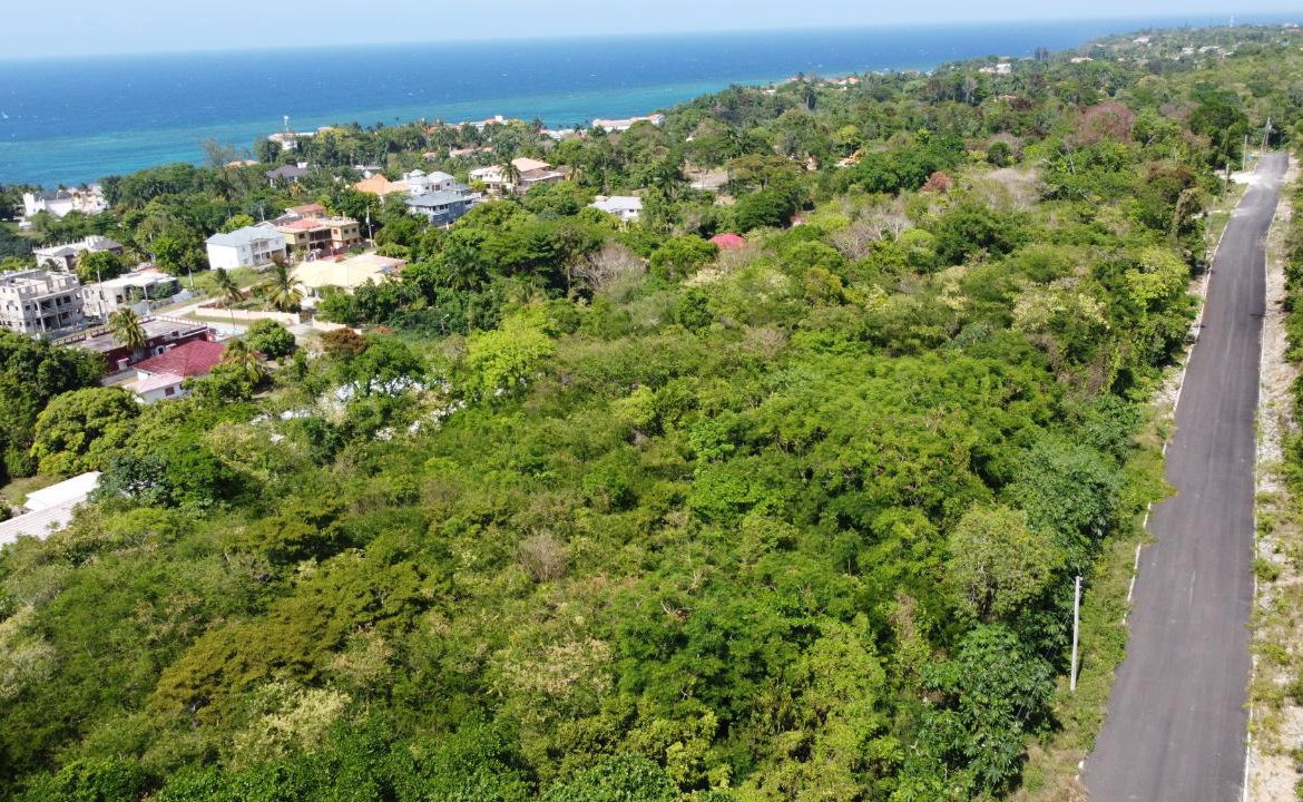 Twenty-Sixth image of Roystonea, Tower Isle in Tower Isle, St. Mary, Jamaica - property is For Sale