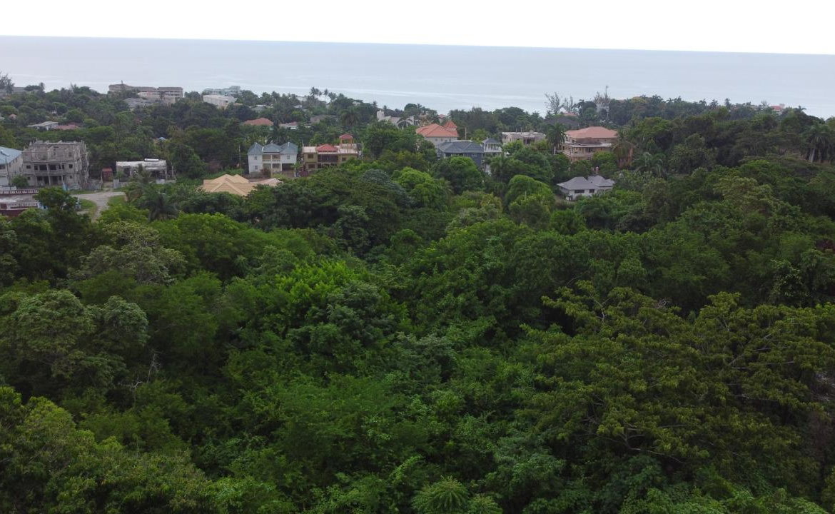 Sixth image of Roystonea, Tower Isle in Tower Isle, St. Mary, Jamaica - property is For Sale