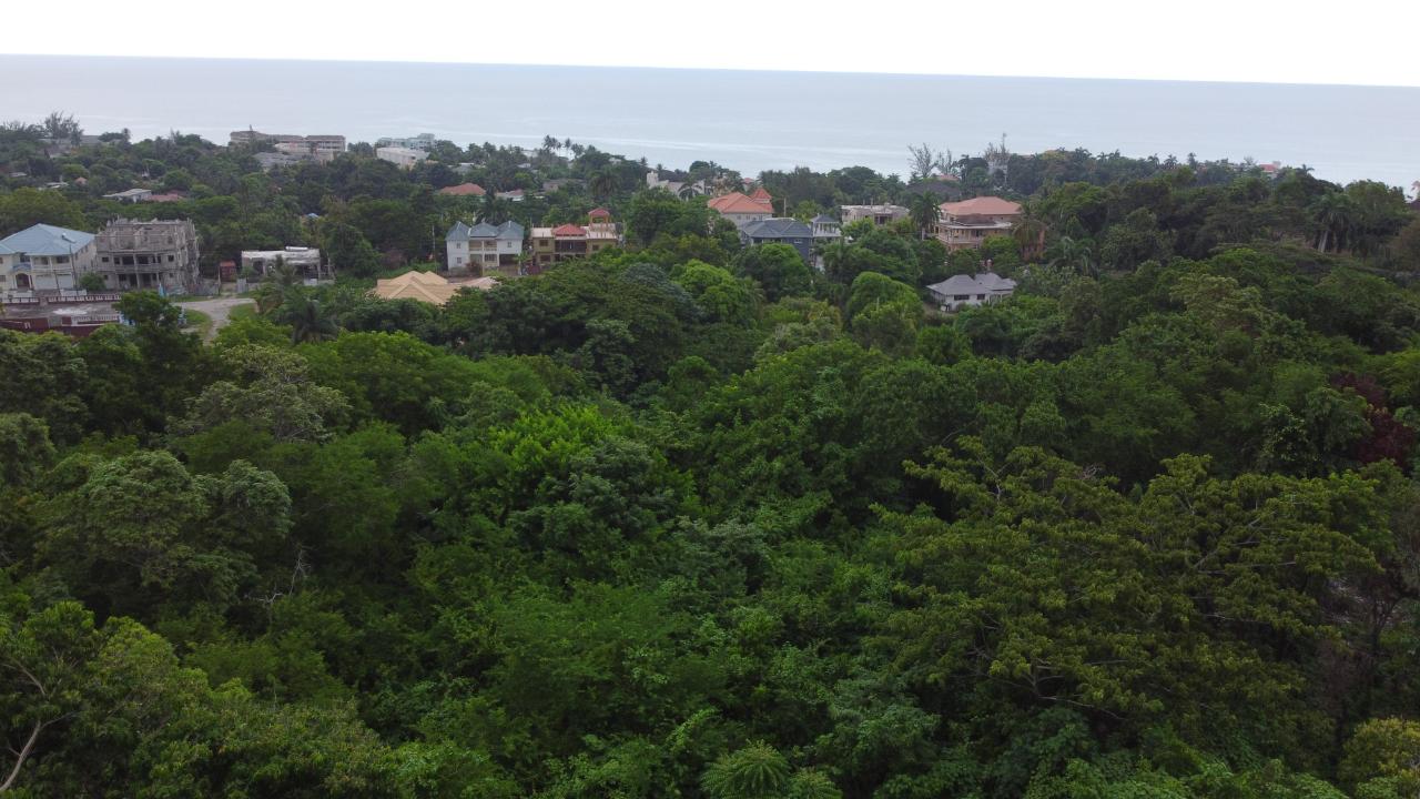 Sixth image of Roystonea, Tower Isle in Tower Isle, St. Mary, Jamaica - property is For Sale