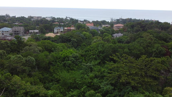 Sixth image of Roystonea, Tower Isle in Tower Isle, St. Mary, Jamaica - property is For Sale