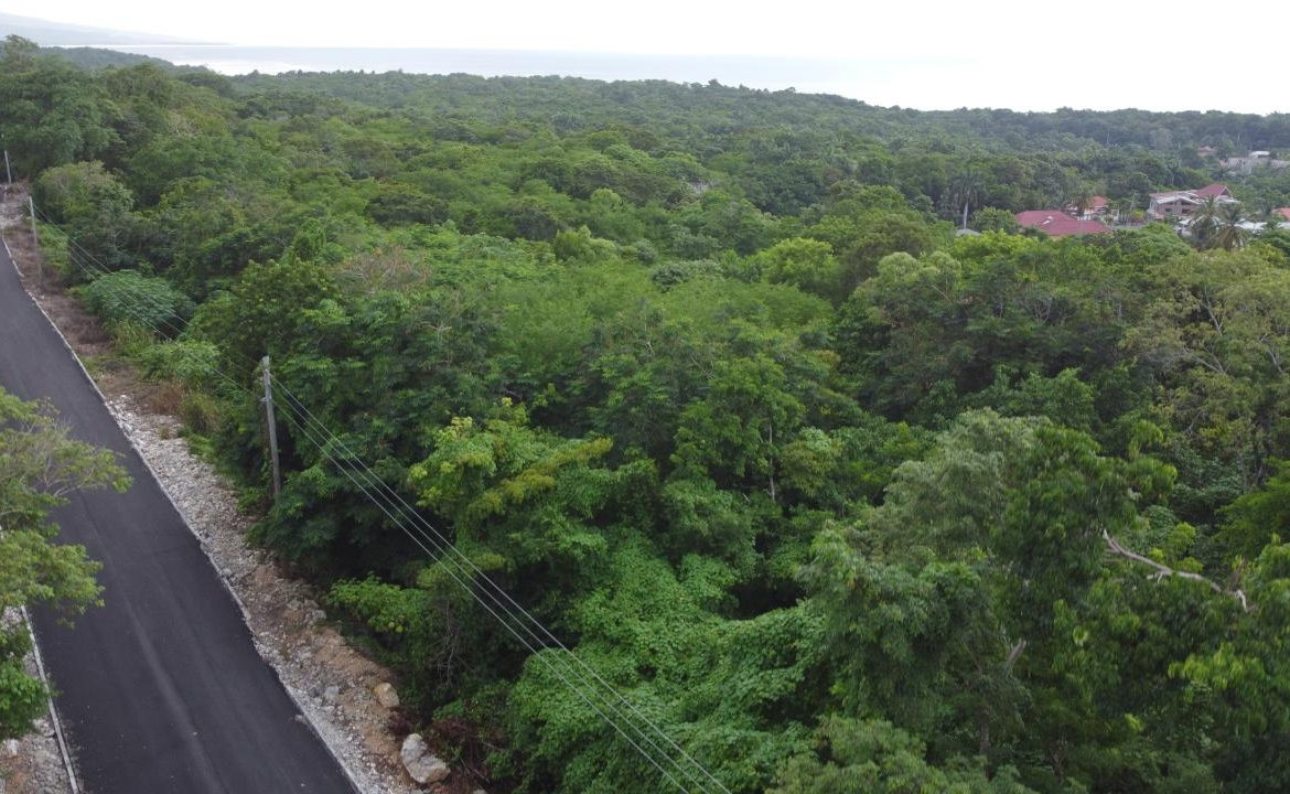 Seventh image of Roystonea, Tower Isle in Tower Isle, St. Mary, Jamaica - property is For Sale