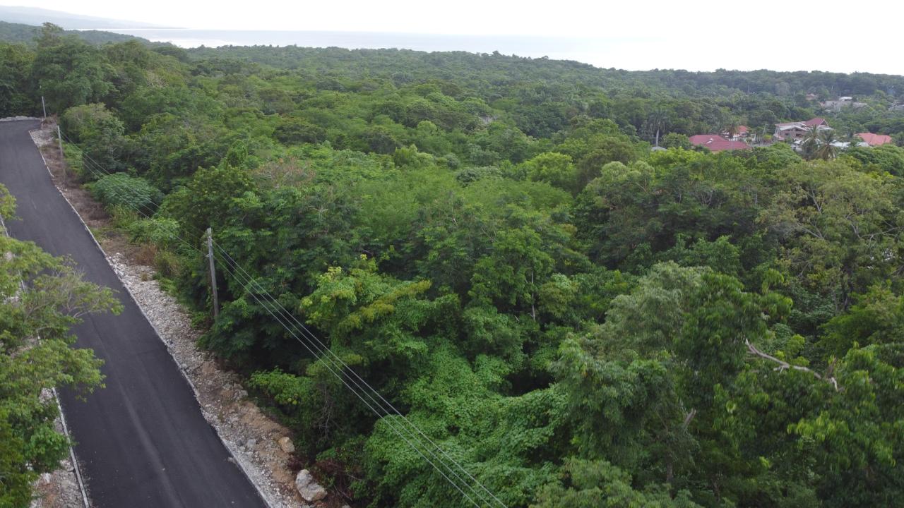 Seventh image of Roystonea, Tower Isle in Tower Isle, St. Mary, Jamaica - property is For Sale