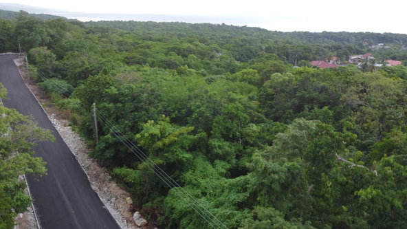 Seventh image of Roystonea, Tower Isle in Tower Isle, St. Mary, Jamaica - property is For Sale