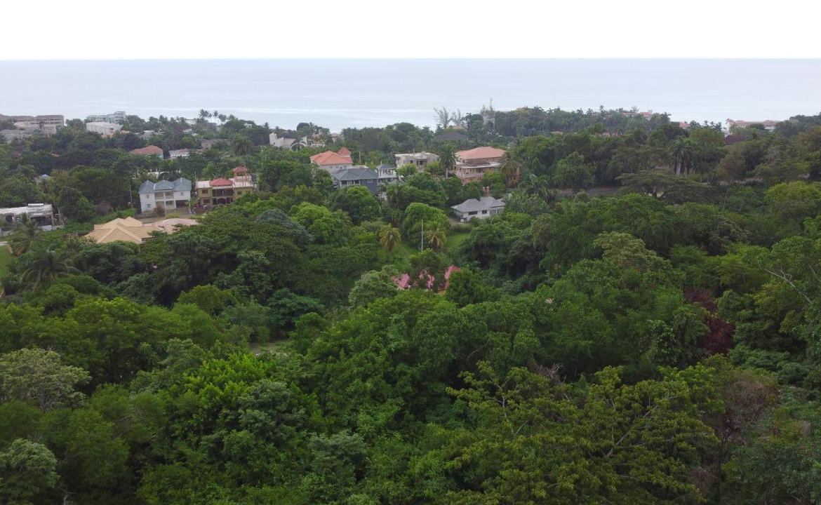Eighth image of Roystonea, Tower Isle in Tower Isle, St. Mary, Jamaica - property is For Sale
