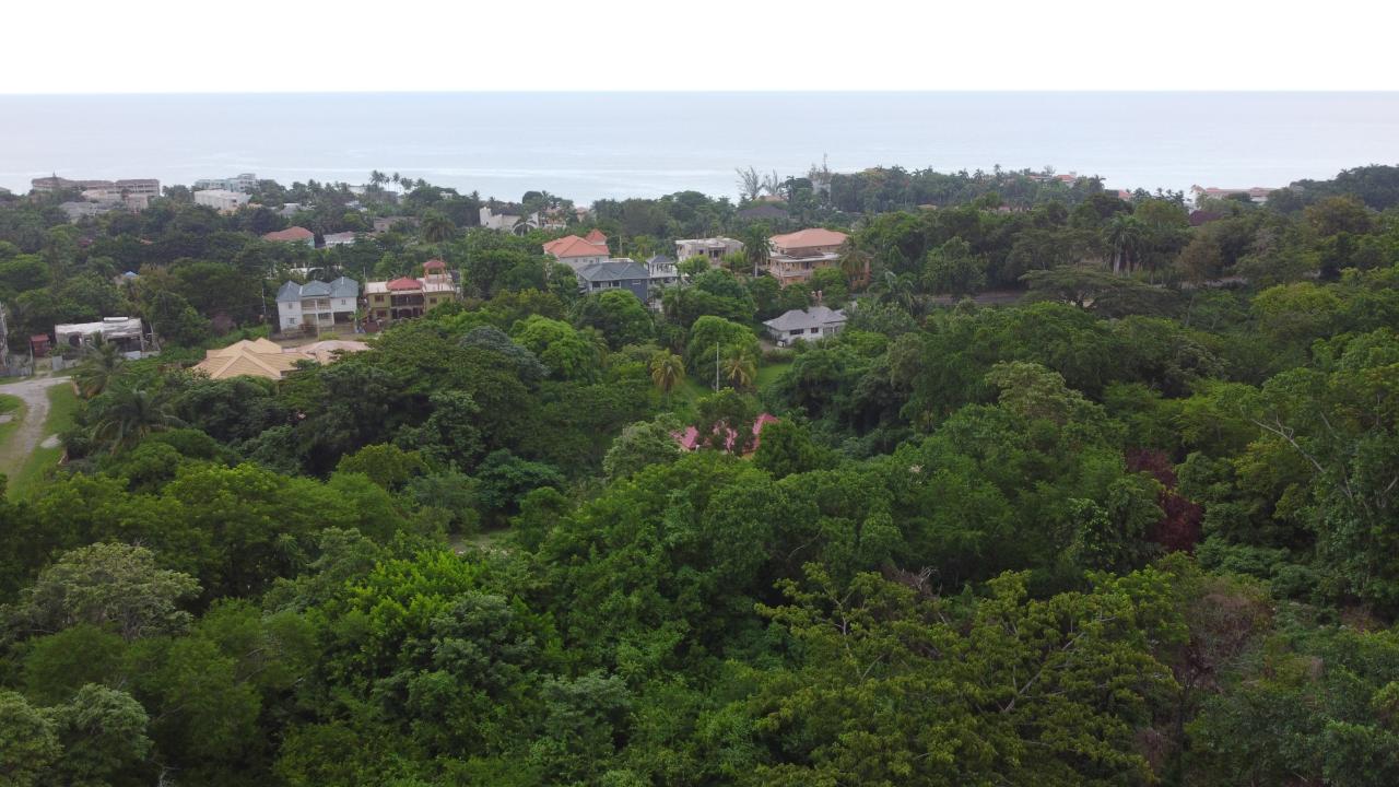 Eighth image of Roystonea, Tower Isle in Tower Isle, St. Mary, Jamaica - property is For Sale
