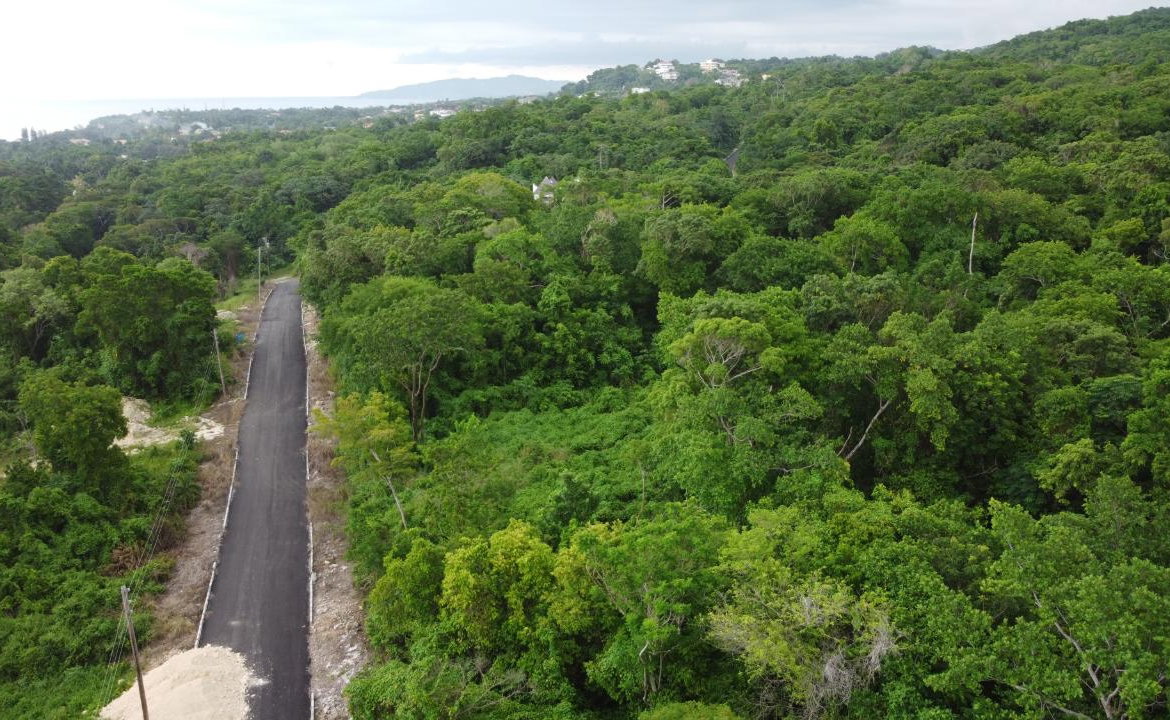 Tenth image of Roystonea, Tower Isle in Tower Isle, St. Mary, Jamaica - property is For Sale