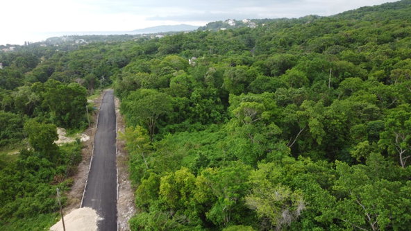 Tenth image of Roystonea, Tower Isle in Tower Isle, St. Mary, Jamaica - property is For Sale