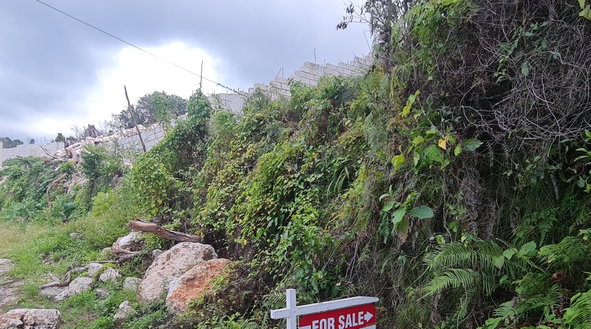 Fifth image of Lot 307 Cardiff Hall, Runaway Bay in Runaway Bay, St. Ann, Jamaica - property is For Sale