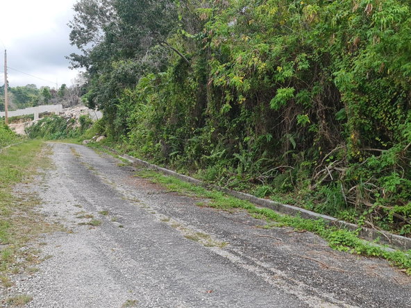 Sixth image of Lot 307 Cardiff Hall, Runaway Bay in Runaway Bay, St. Ann, Jamaica - property is For Sale