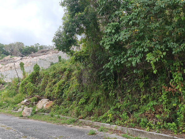 Eighth image of Lot 307 Cardiff Hall, Runaway Bay in Runaway Bay, St. Ann, Jamaica - property is For Sale