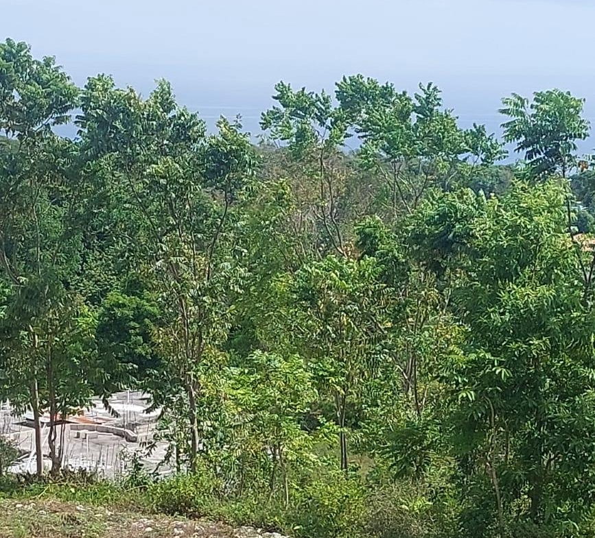 Fourth image of Lot 33 r Spring Hill Drive in Runaway Bay, St. Ann, Jamaica - property is For Sale