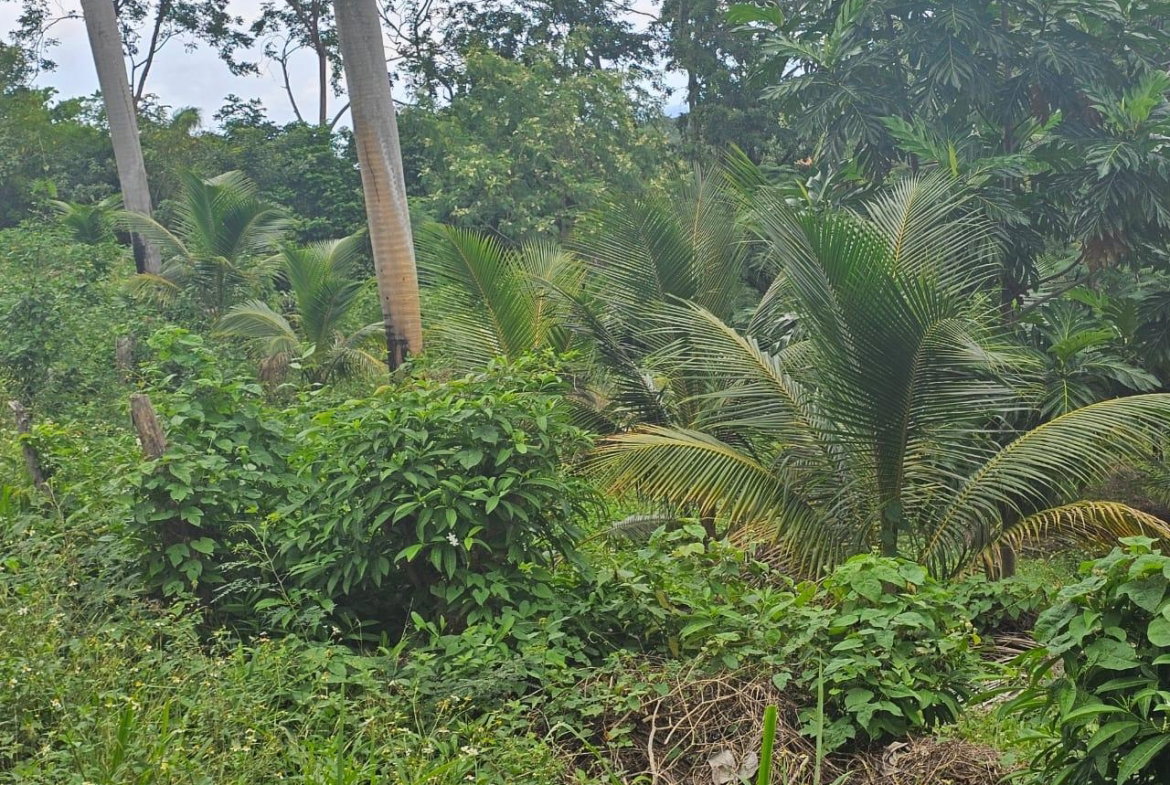 Second image of 267 Woodside Drive in Montego Bay, St. James, Jamaica - property is For Sale