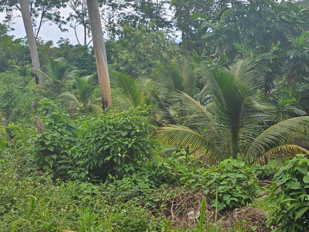 Second image of 267 Woodside Drive in Montego Bay, St. James, Jamaica - property is For Sale