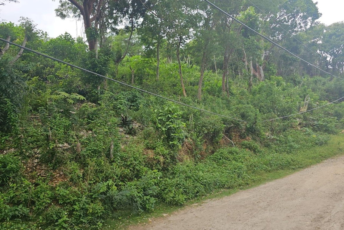 Sixth image of Wood Side Drive in Montego Bay, St. James, Jamaica - property is For Sale