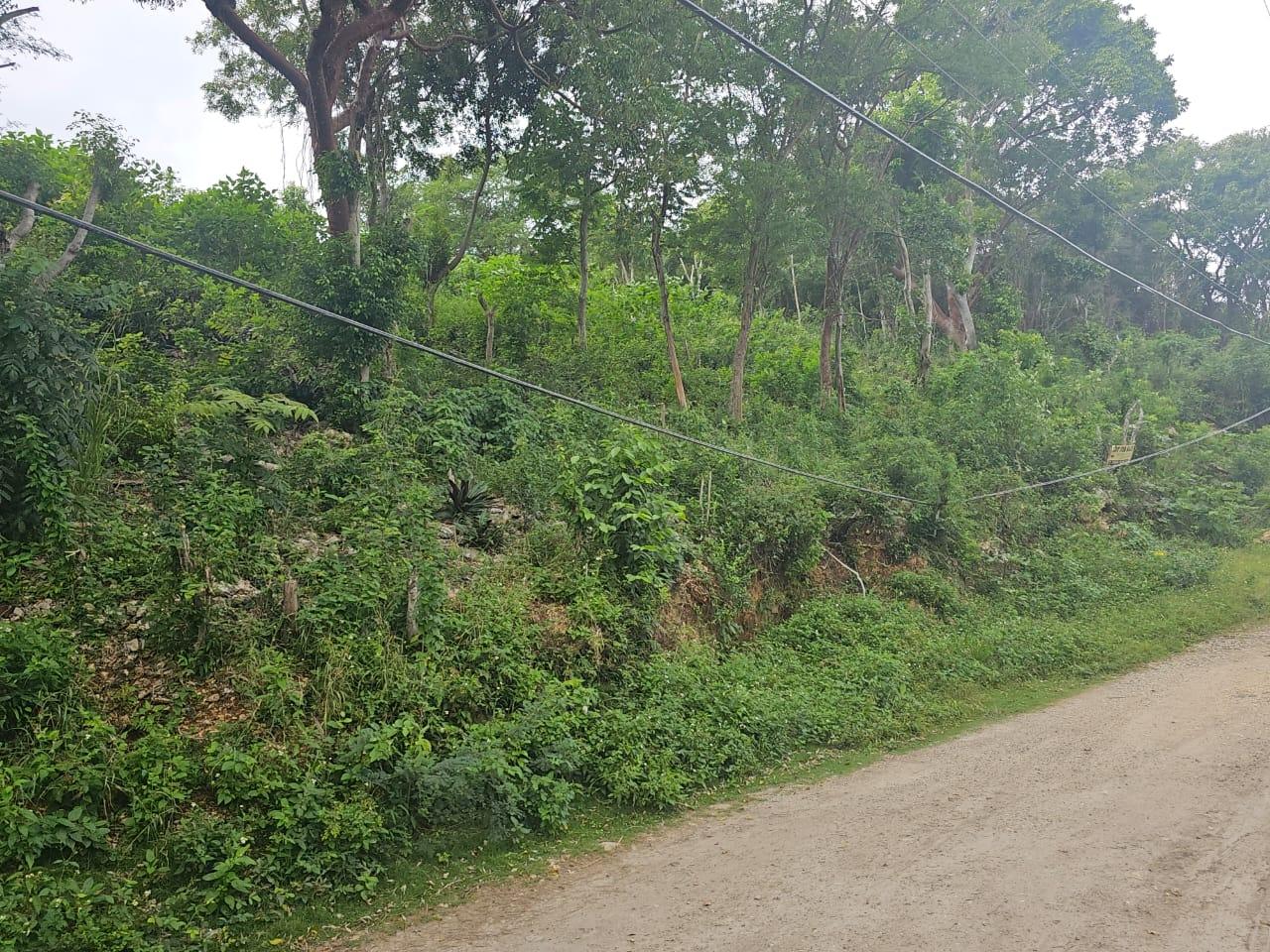 Sixth image of Wood Side Drive in Montego Bay, St. James, Jamaica - property is For Sale