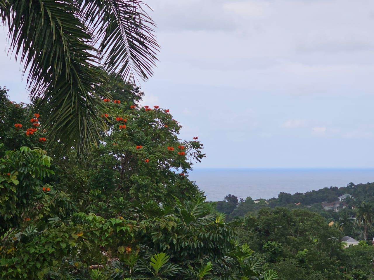 Seventh image of Wood Side Drive in Montego Bay, St. James, Jamaica - property is For Sale